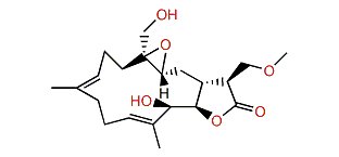 Durumolide N